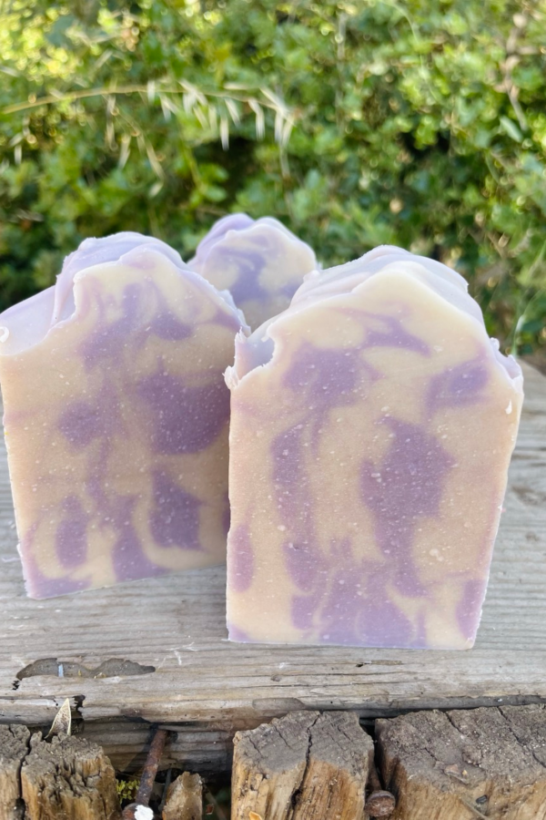 French Lavender