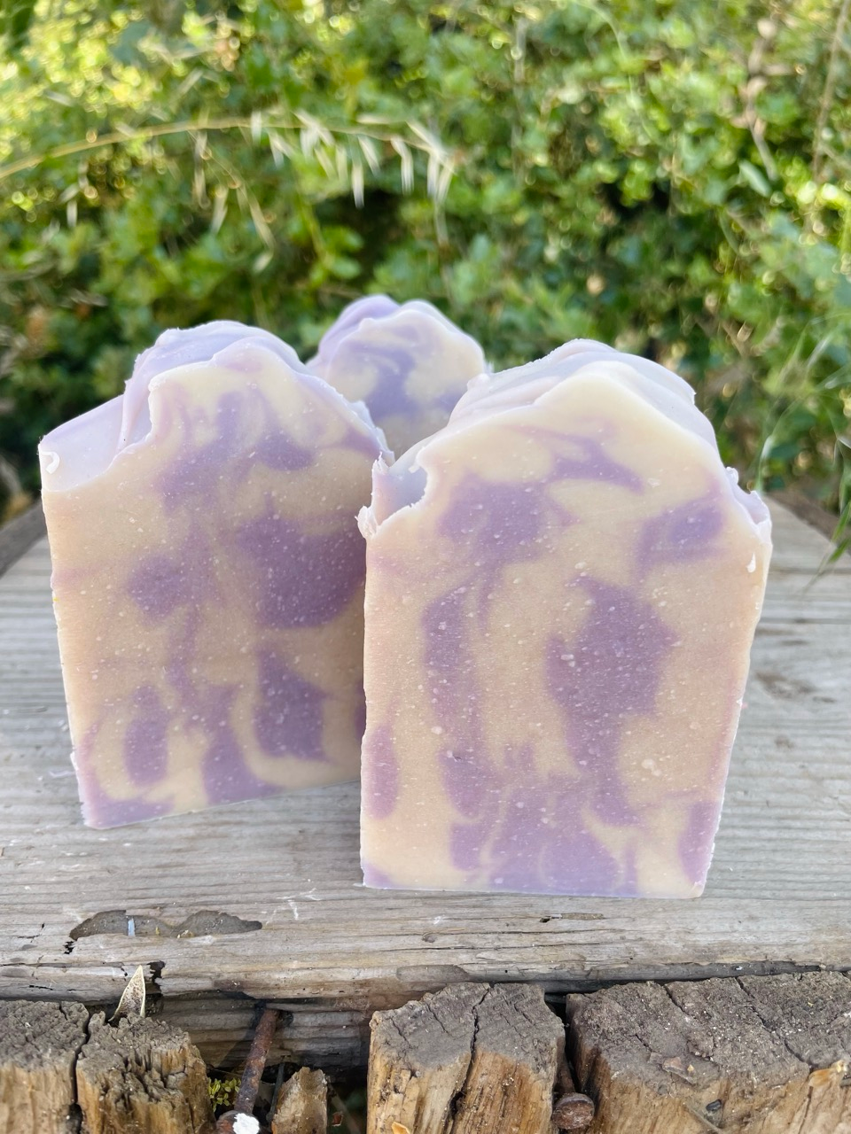 French Lavender