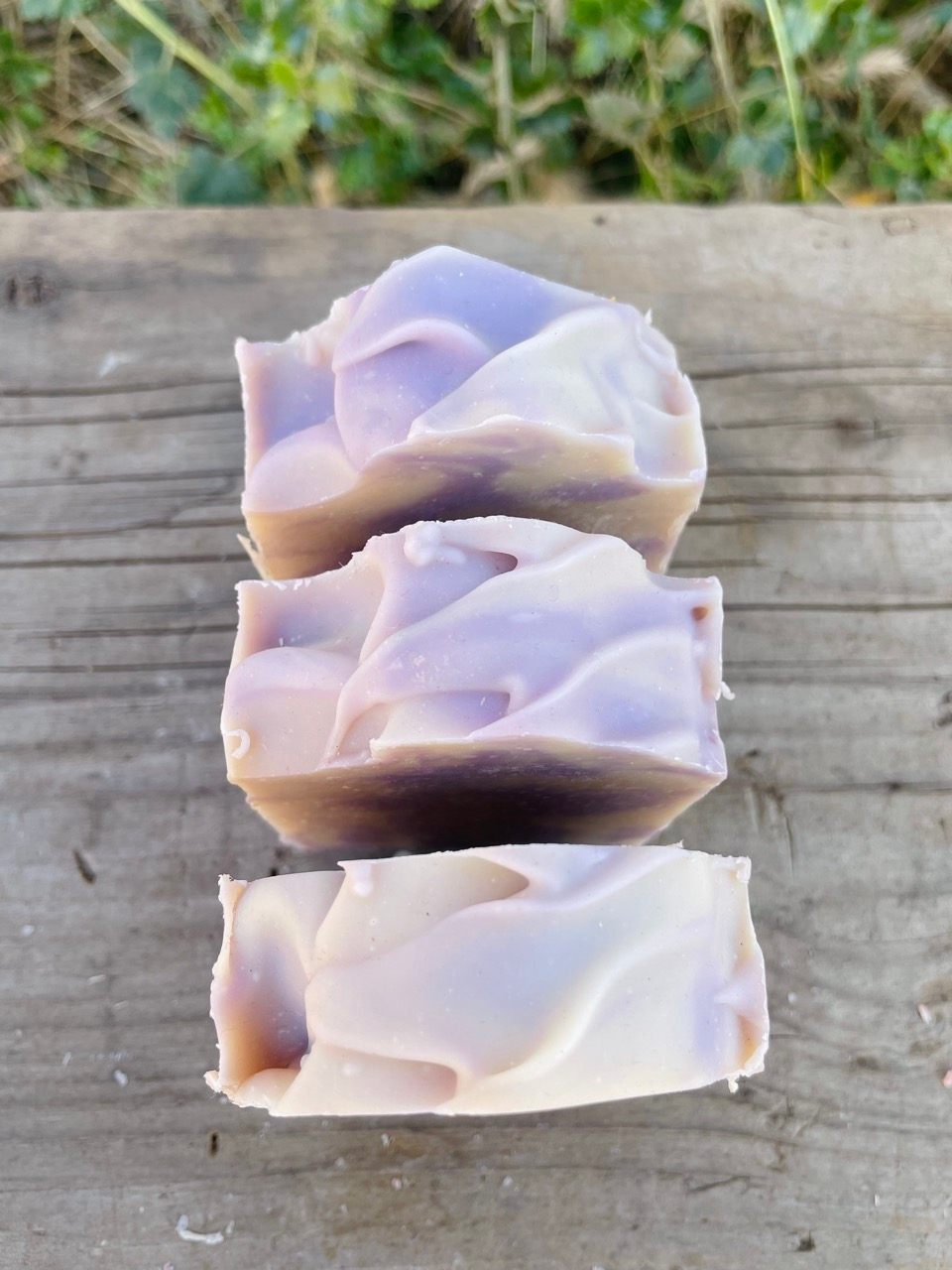 French Lavender - Image 3