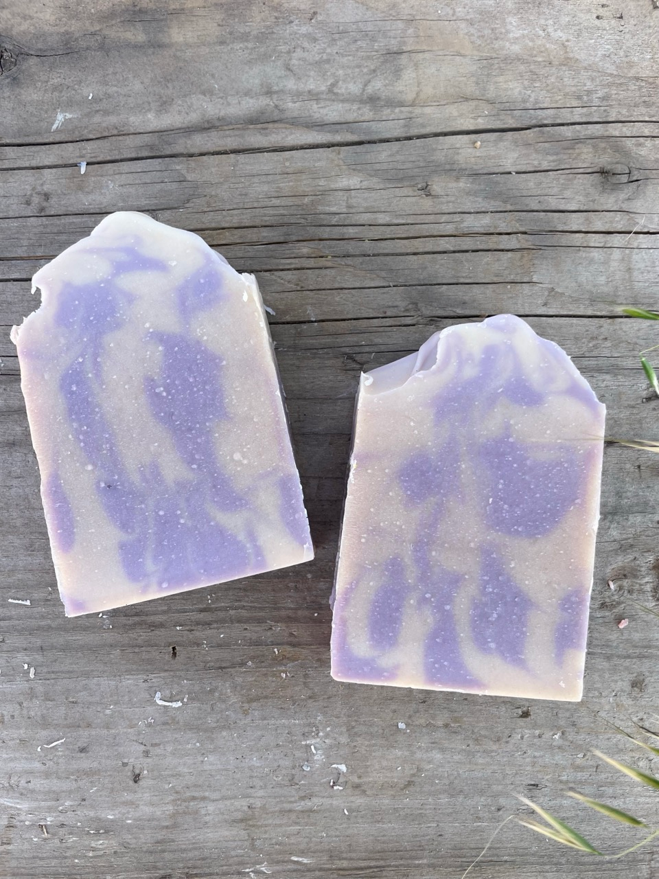 French Lavender - Image 2