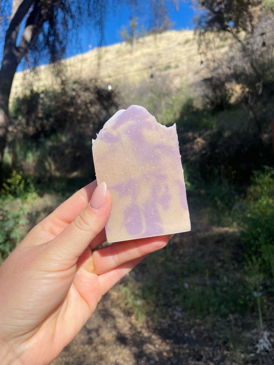 French Lavender - Image 4