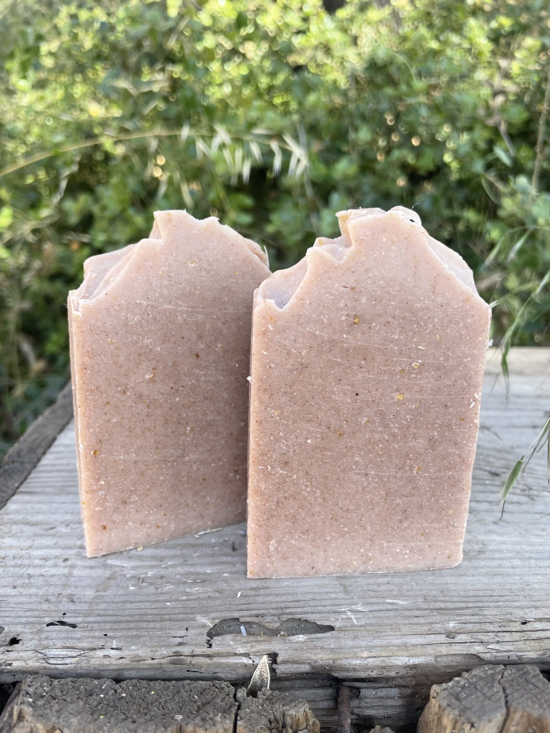 Pretty and Polished (The Gardener) - Exfoliating Bar