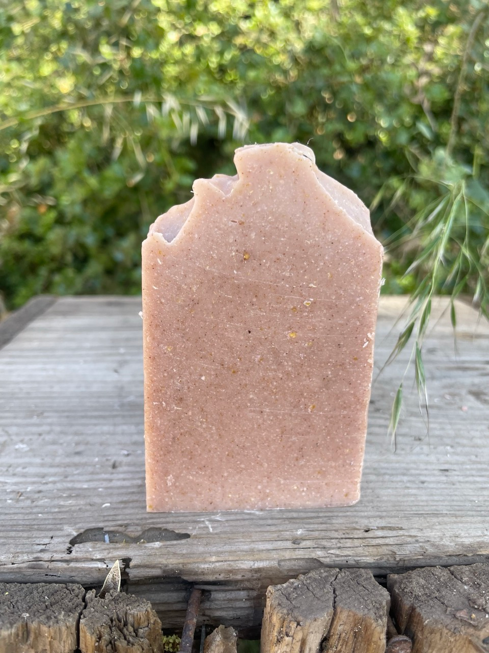 Pretty and Polished (The Gardener) - Exfoliating Bar - Image 2