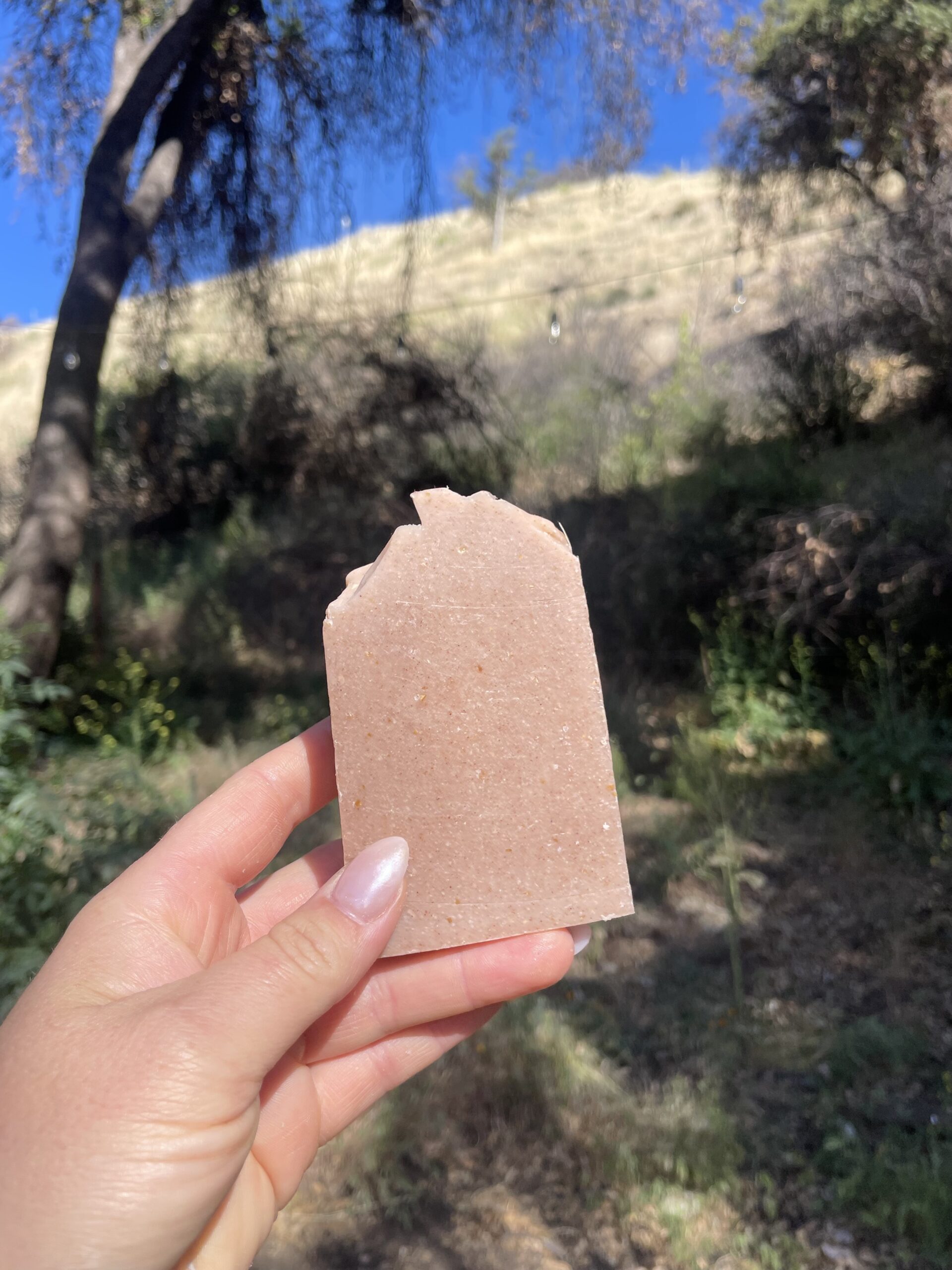 Pretty and Polished (The Gardener) - Exfoliating Bar - Image 5