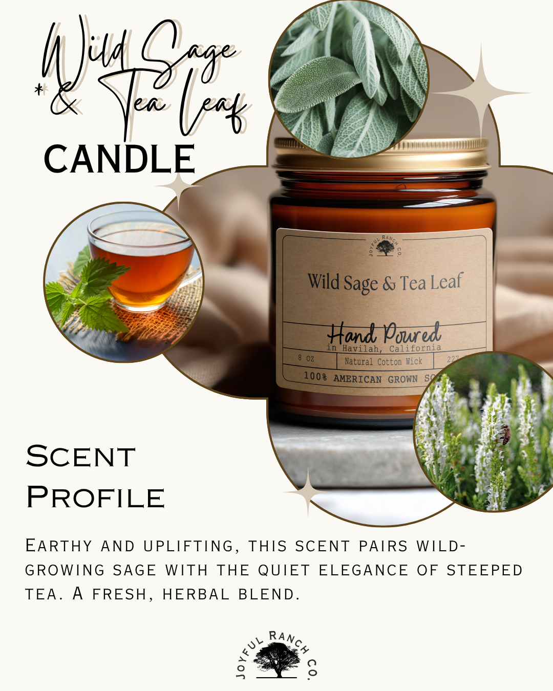 Wild Sage & Tea Leaf Candle - Image 4